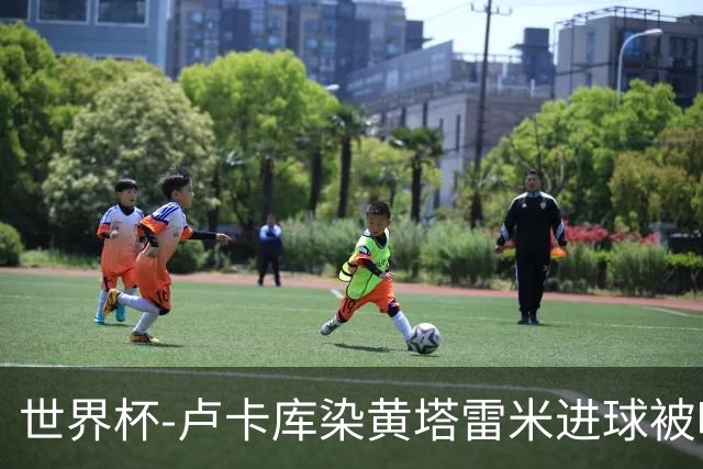 世界杯-卢卡库染黄塔雷米进球被吹 比利时半场0-0伊朗