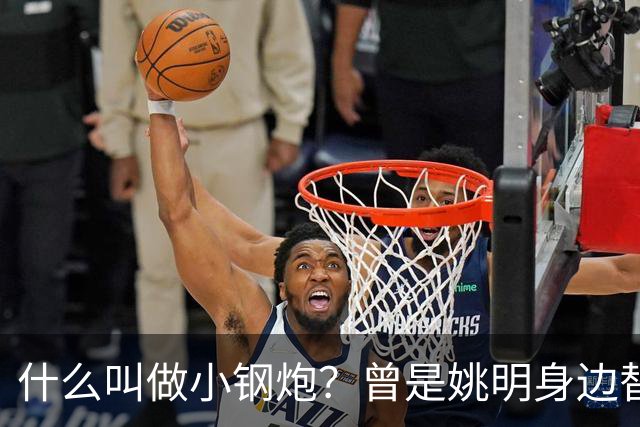 什么叫做小钢炮？曾是姚明身边替补！20年NBA赚2.82亿