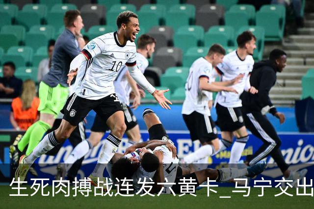 生死肉搏战连发六黄卡 马宁交出世界杯主哨首秀答卷