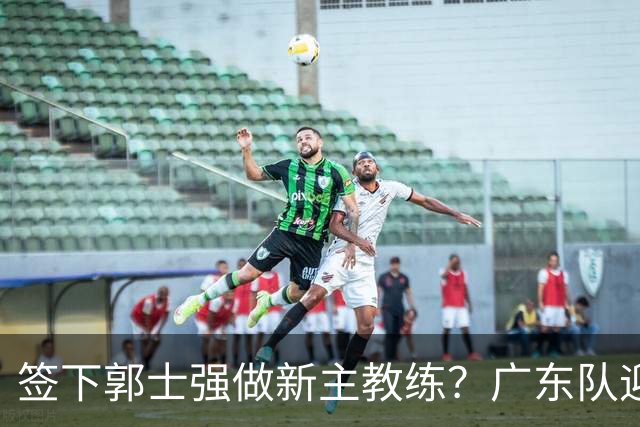 签下郭士强做新主教练？广东队迎来换帅机会，杜锋有望执教国家队