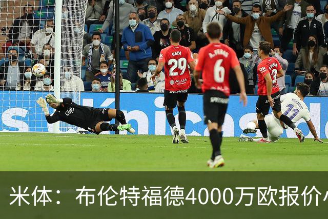 米体：布伦特福德4000万欧报价小斯坦科维奇，国米拒绝