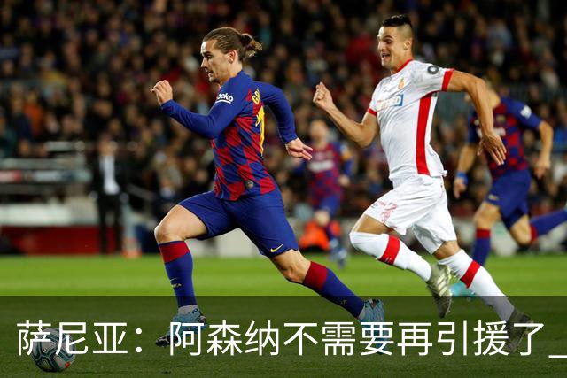 萨尼亚：阿森纳不需要再引援了 赛季最佳球员我选廷伯