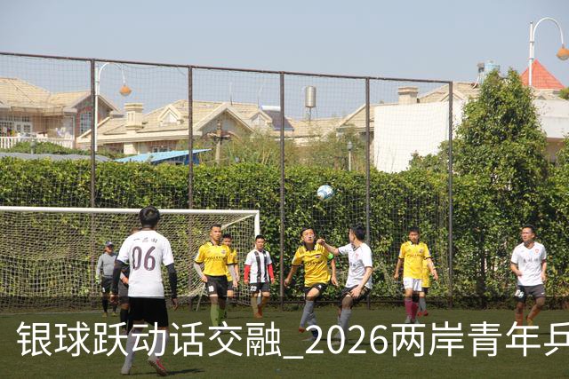银球跃动话交融 2026两岸青年乒乓球交流赛在沪举行